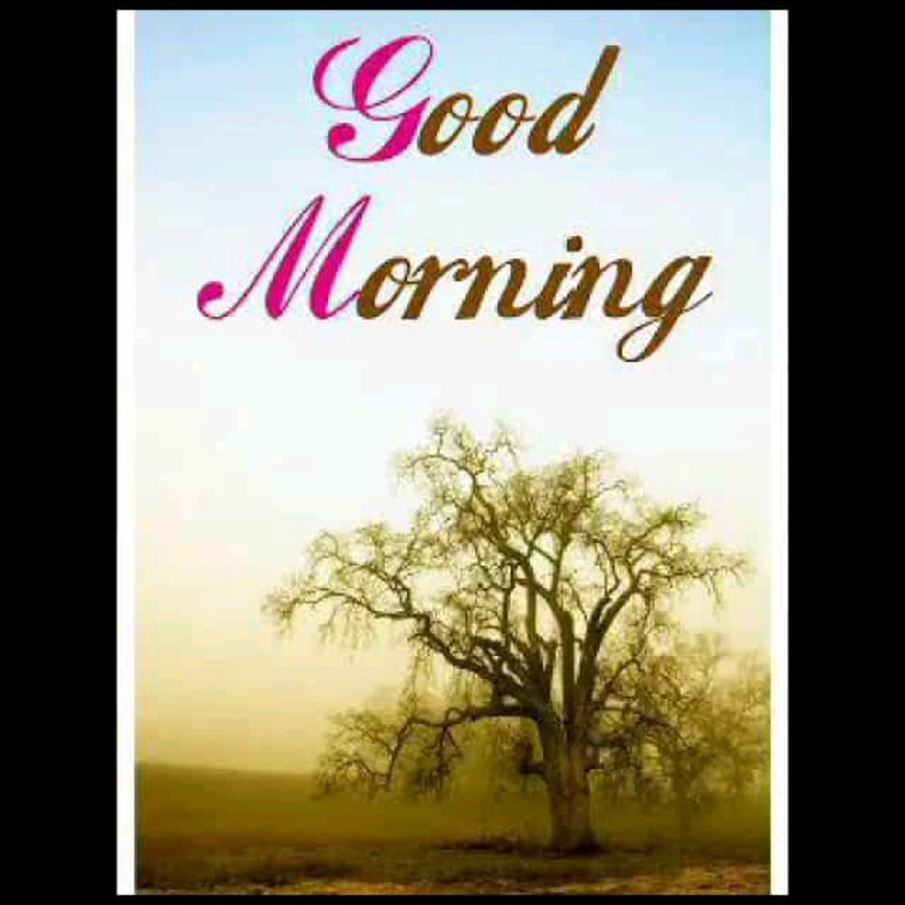 Meet your Posher, Page